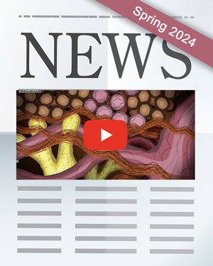 Spring 2024 Newsletter icon