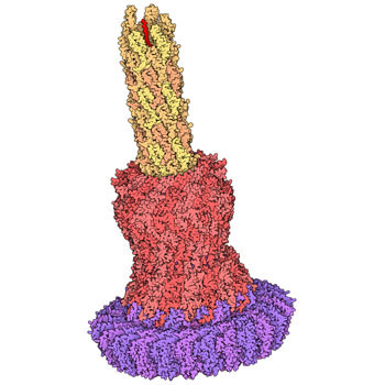 官方澳洲五开奖结果体彩网 PDB Molecule of the Month