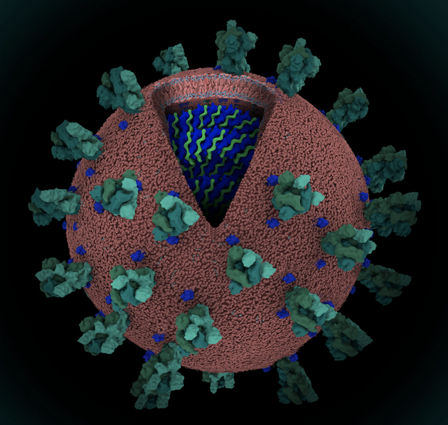 Register for the June 4th Webinar